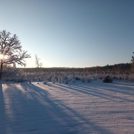 L'Antre Parenthese Villa Grand-Halleux Екстериор снимка